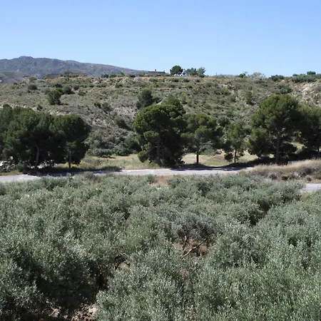 Cassa Rural Bed and breakfast Almocaizar